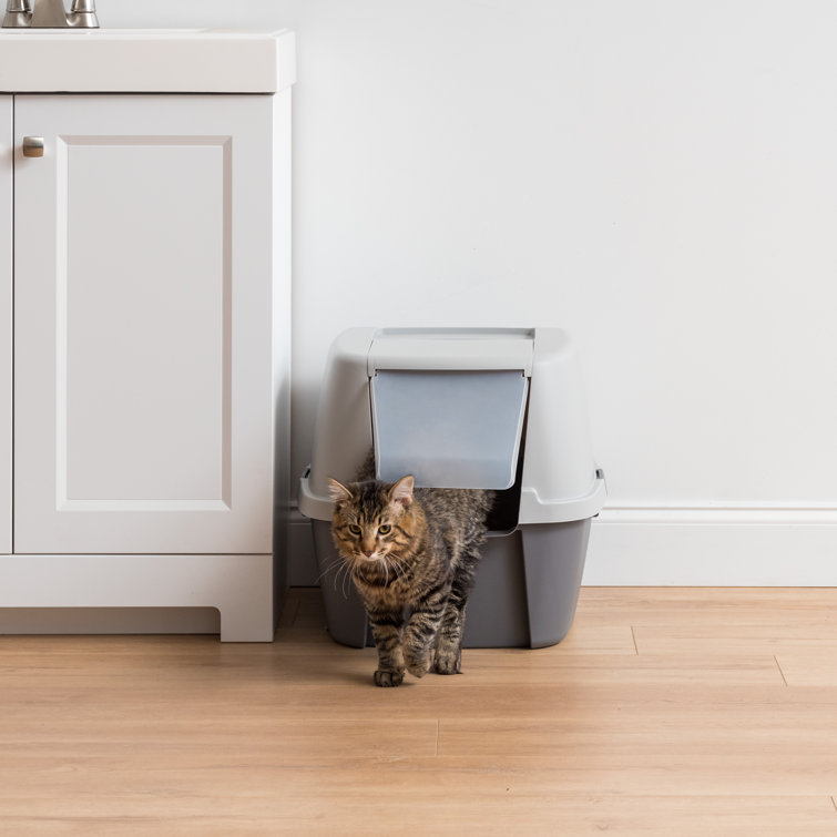 Jumbo hooded on sale cat litter box